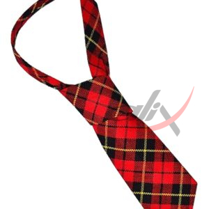 Wallace Necktie 2.jpg